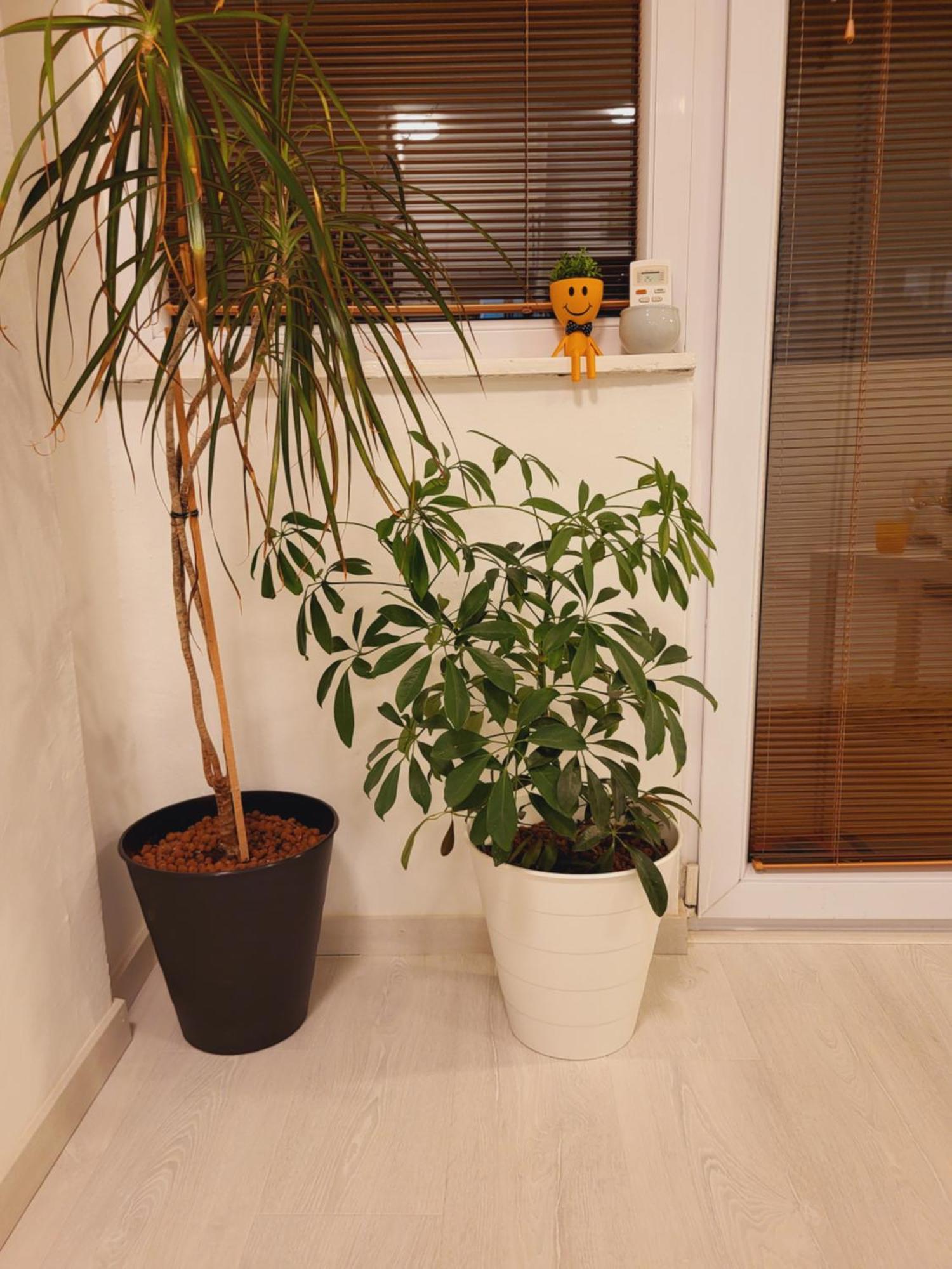 City Center White Apartment! Skopie Exterior foto
